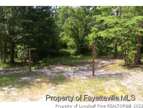 221 Jesse Road Broadway, NC 27505 - Photo 4 of 15 Gallery Image 4