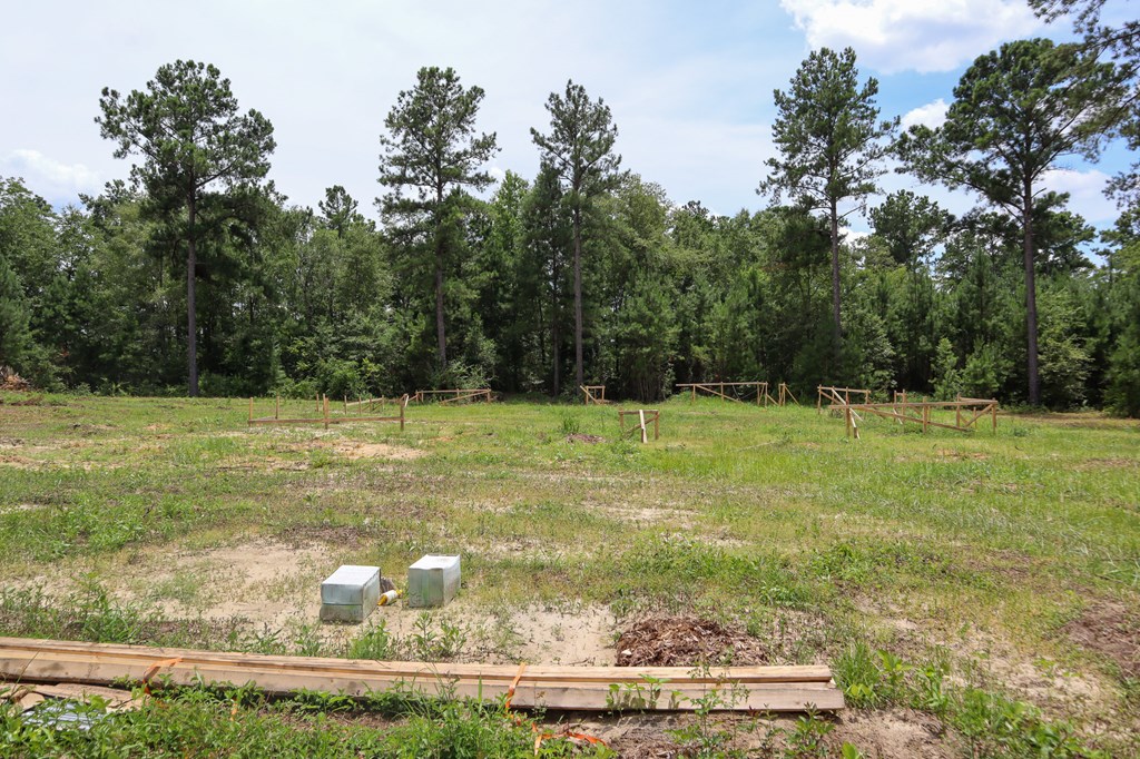 185 Ben Ivey Road Webb, AL 36376 - Photo 5 of 9