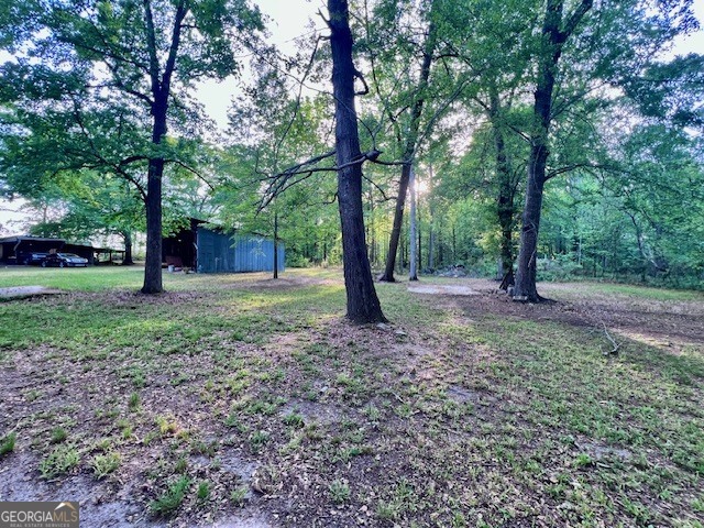 3195 Henderson Grove Road Sandersville, GA 31082 - Photo 50 of 50 a view of outdoor space with trees