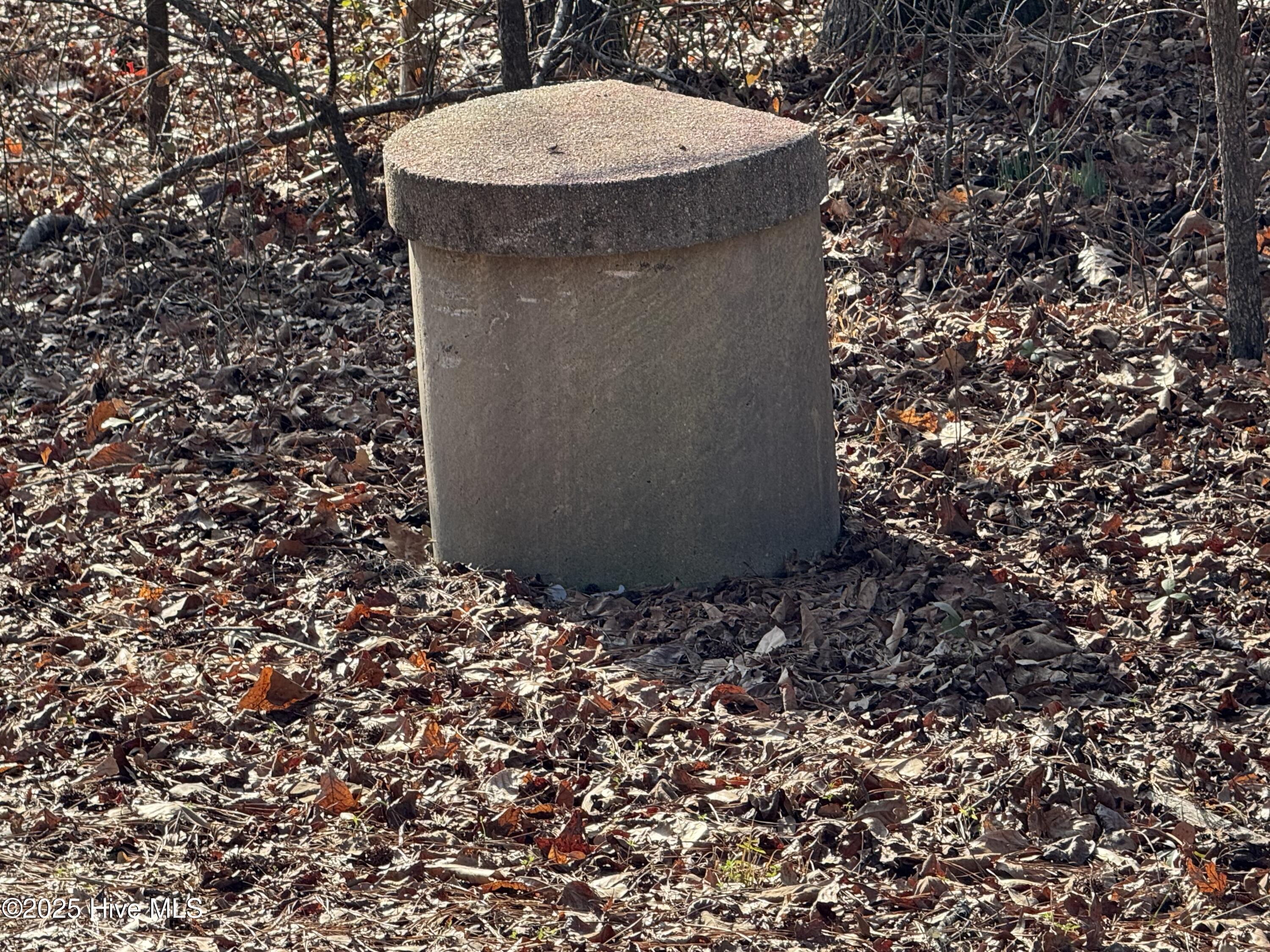 979 Aiken Road Vass, NC 28394 - Photo 25 of 26 Well