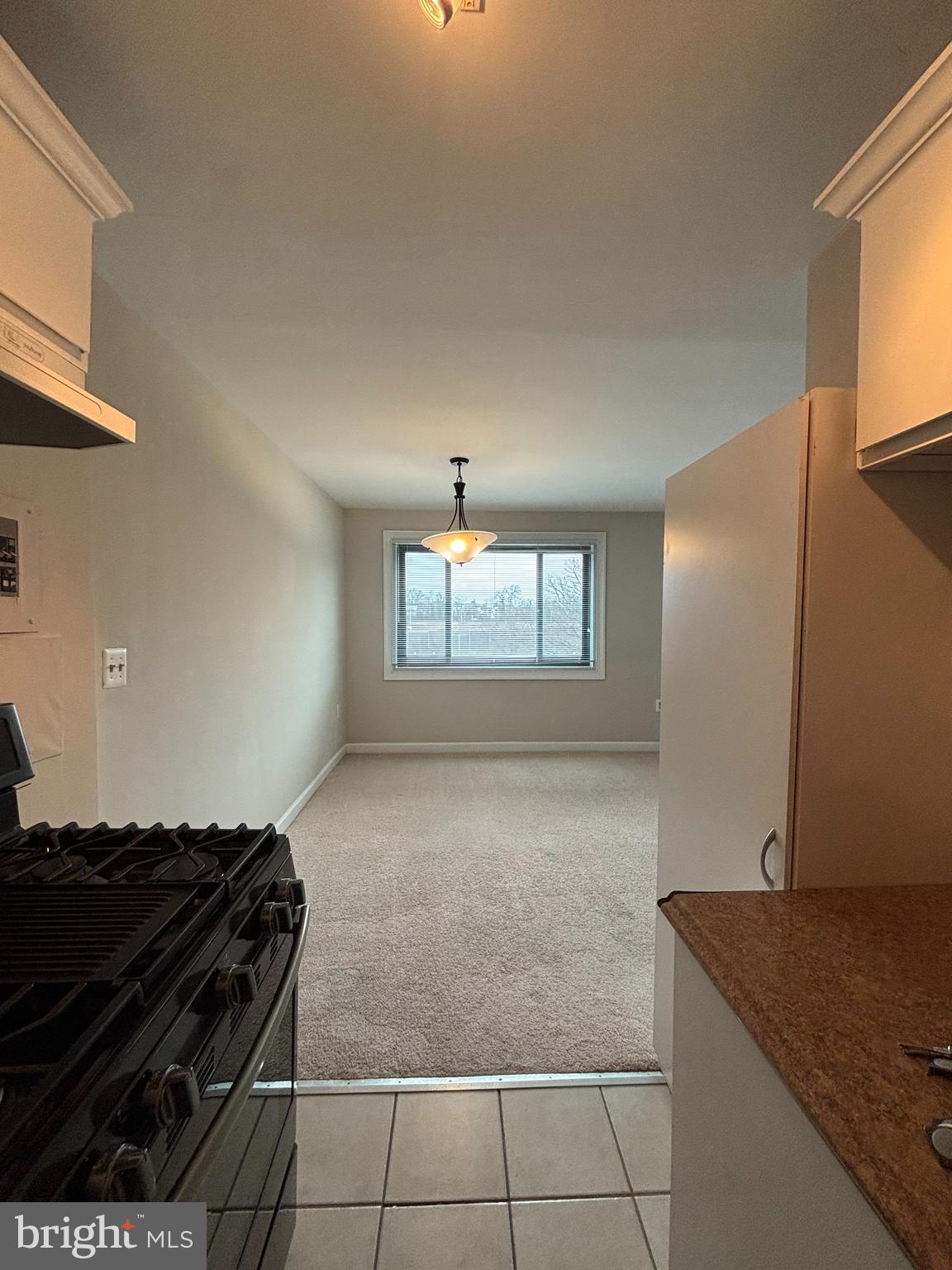 1200 South Arlington Ridge Road, Unit 602 Arlington, VA 22202 - Photo 10 of 25