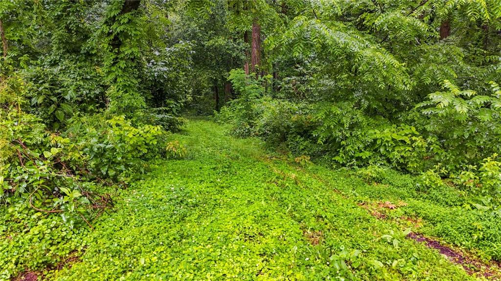 3403 Glenwood Road Decatur, GA 30032 - Photo 14 of 27 a view of a lush green forest with lawn chairs and plants