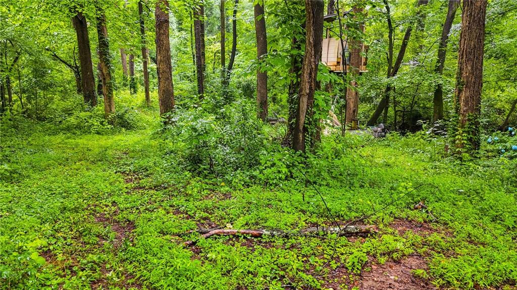 3403 Glenwood Road Decatur, GA 30032 - Photo 16 of 27 a view of a garden