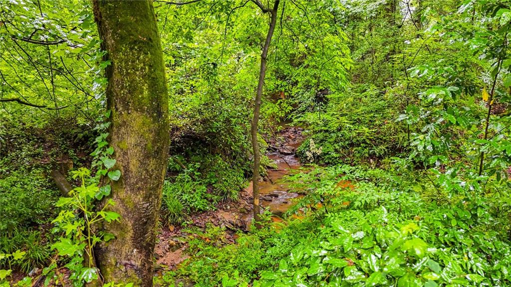 3403 Glenwood Road Decatur, GA 30032 - Photo 17 of 27 a view of a lush green forest