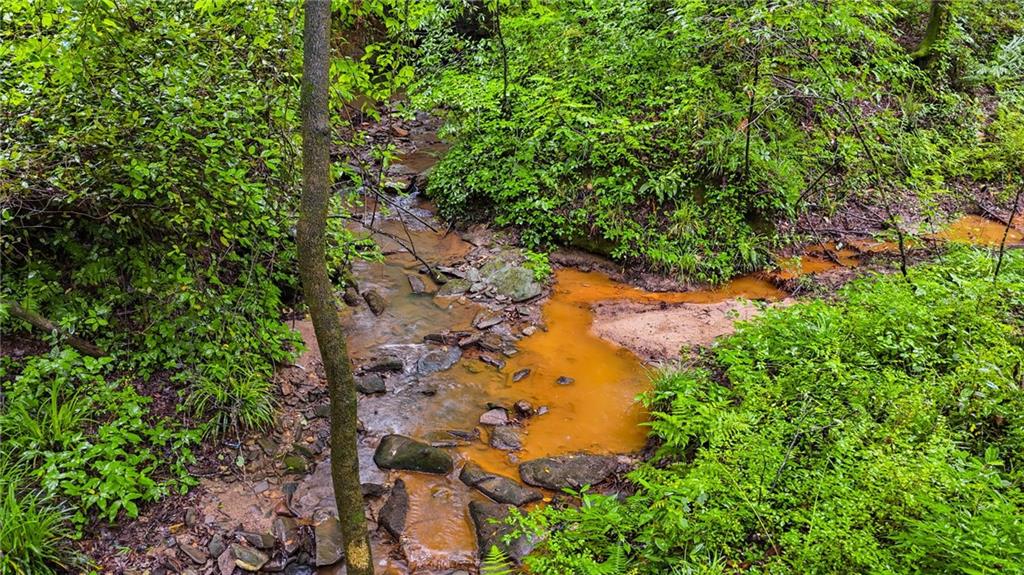 3403 Glenwood Road Decatur, GA 30032 - Photo 18 of 27 a view of a tree in a garden