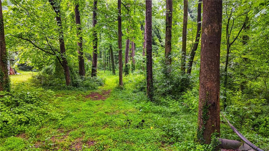 3403 Glenwood Road Decatur, GA 30032 - Photo 20 of 27 a view of outdoor space and garden