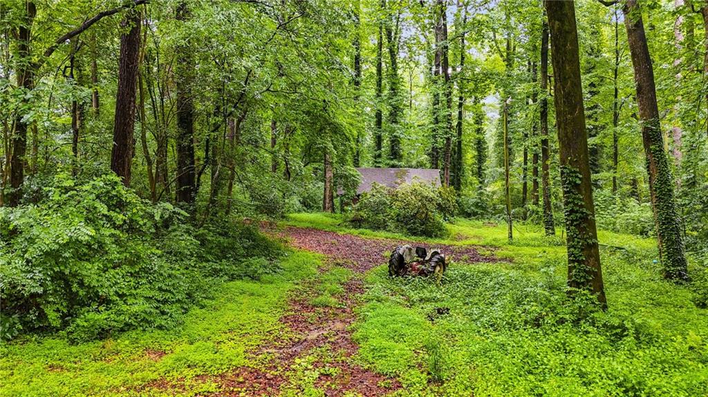 3403 Glenwood Road Decatur, GA 30032 - Photo 5 of 27 a view of yard with green space
