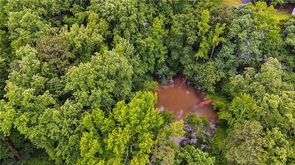 3403 Glenwood Road Decatur, GA 30032 - Photo 6 of 27 a view of a garden with a lake