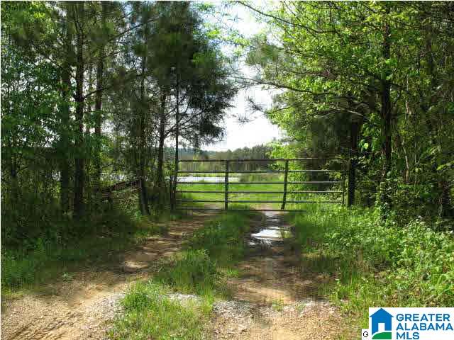 Pinedale Road, Unit 3 Ashville, AL 35953 - Photo 10 of 11