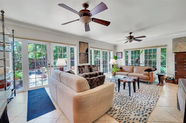 a view of a yard with plants and trees