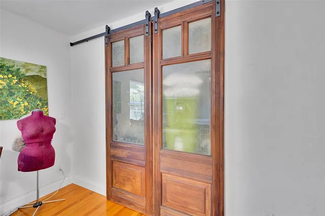 a view of a plants in a garden