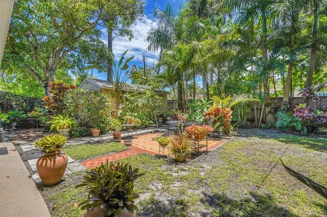 a view of a palm tree with flower plants