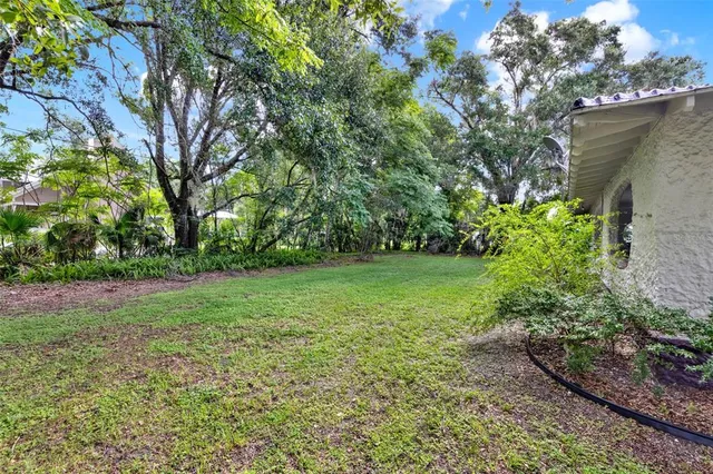 a view of a yard with a tree