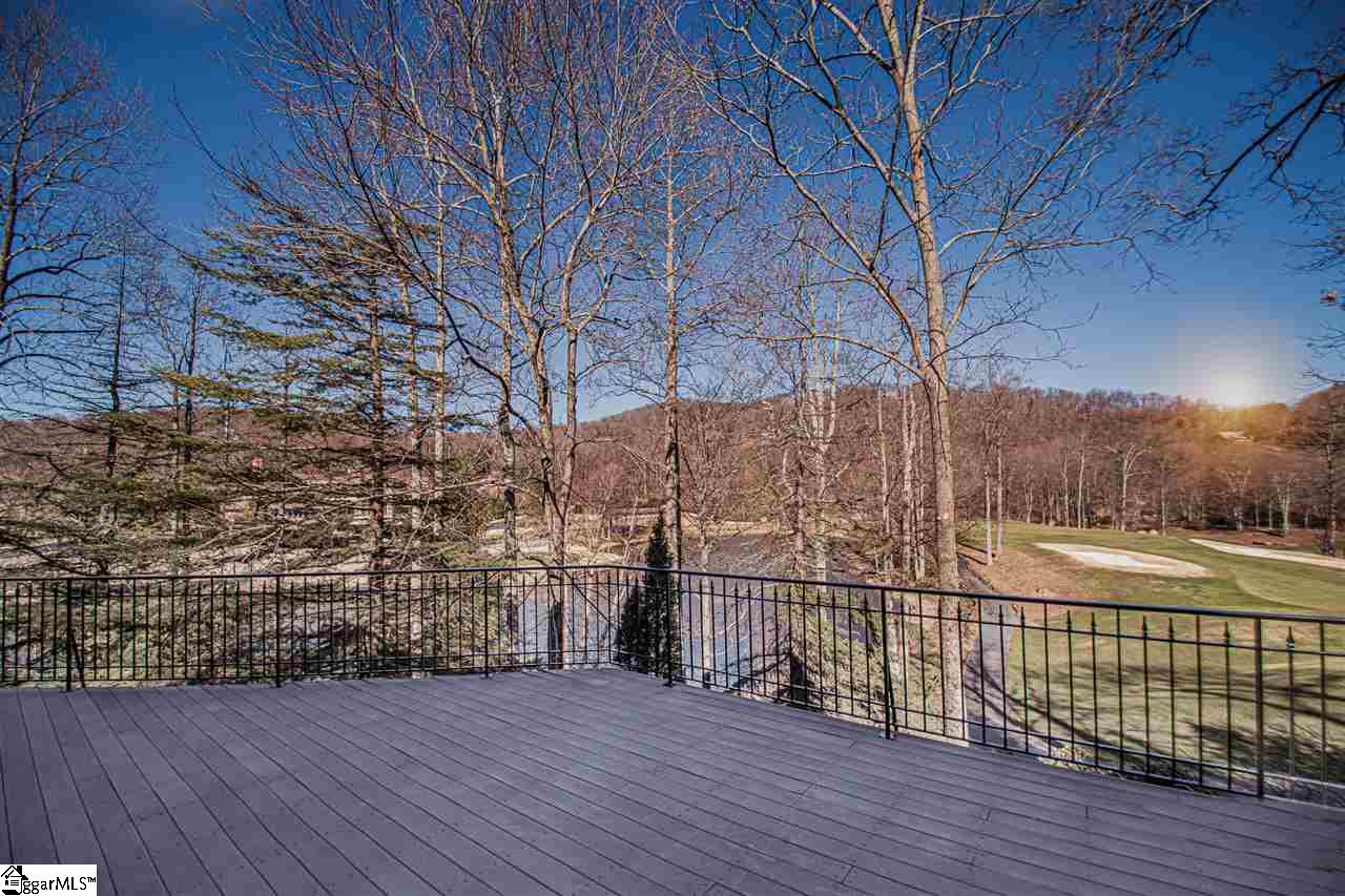 106 Fire Pink Way Landrum, SC 29356 - Photo 12 of 36