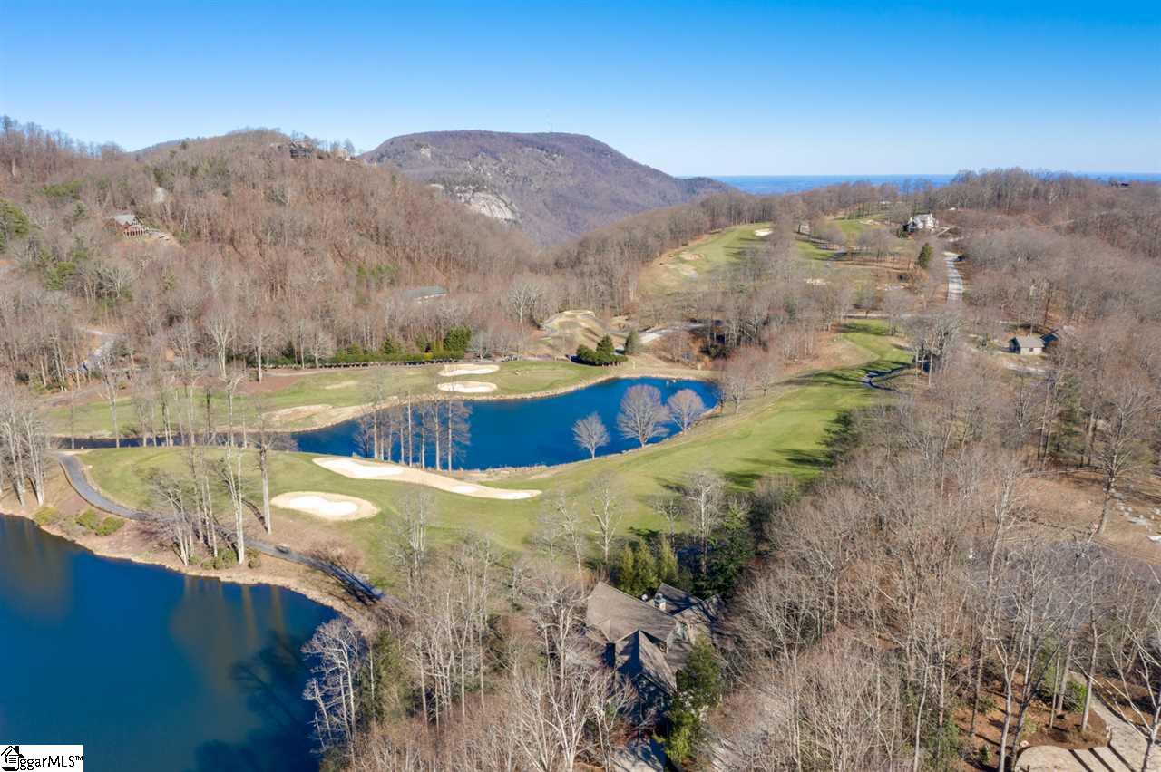 106 Fire Pink Way Landrum, SC 29356 - Photo 32 of 36