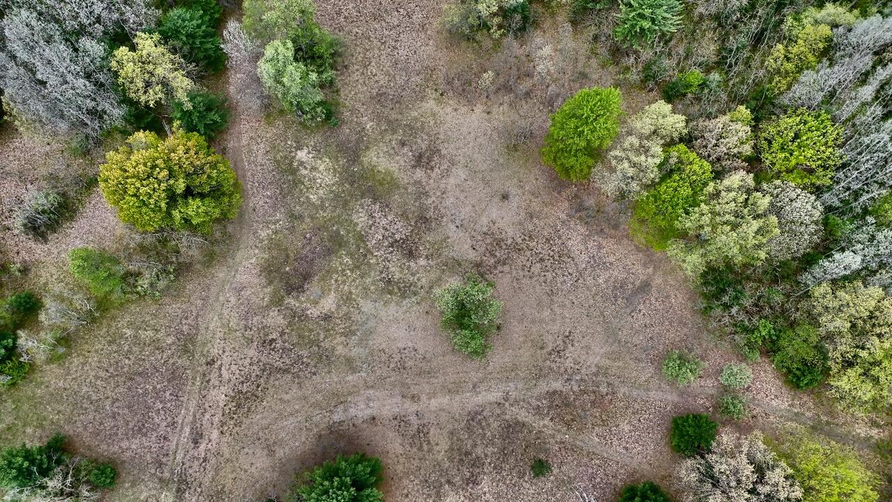 6153 South Branch Road Branch, MI 49402 - Photo 38 of 70 31