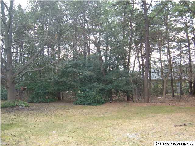 52 Sunset Road Whiting, NJ 08759 - Photo 3 of 3 a view of a yard with trees