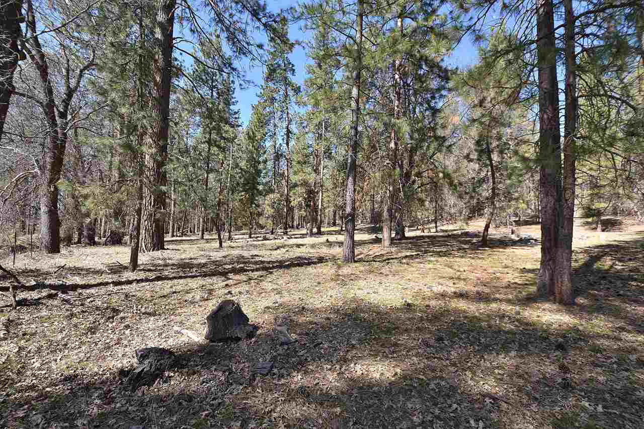 3917 Scott River Road Fort Jones, CA 96032 - Photo 7 of 13 Gallery Image 7