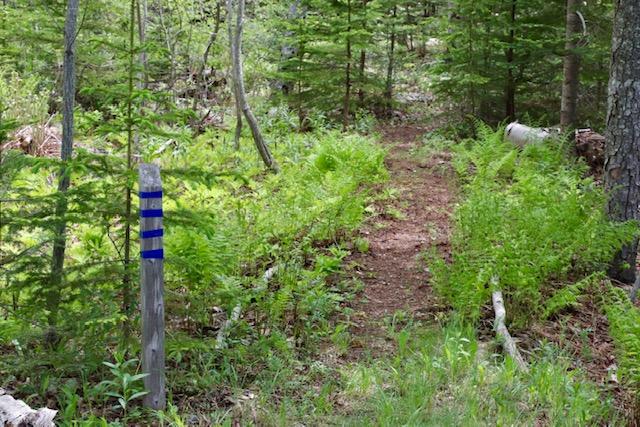 0 Naskeag Point Road Brooklin, ME 04616 - Photo 1 of 34 IMG_0869