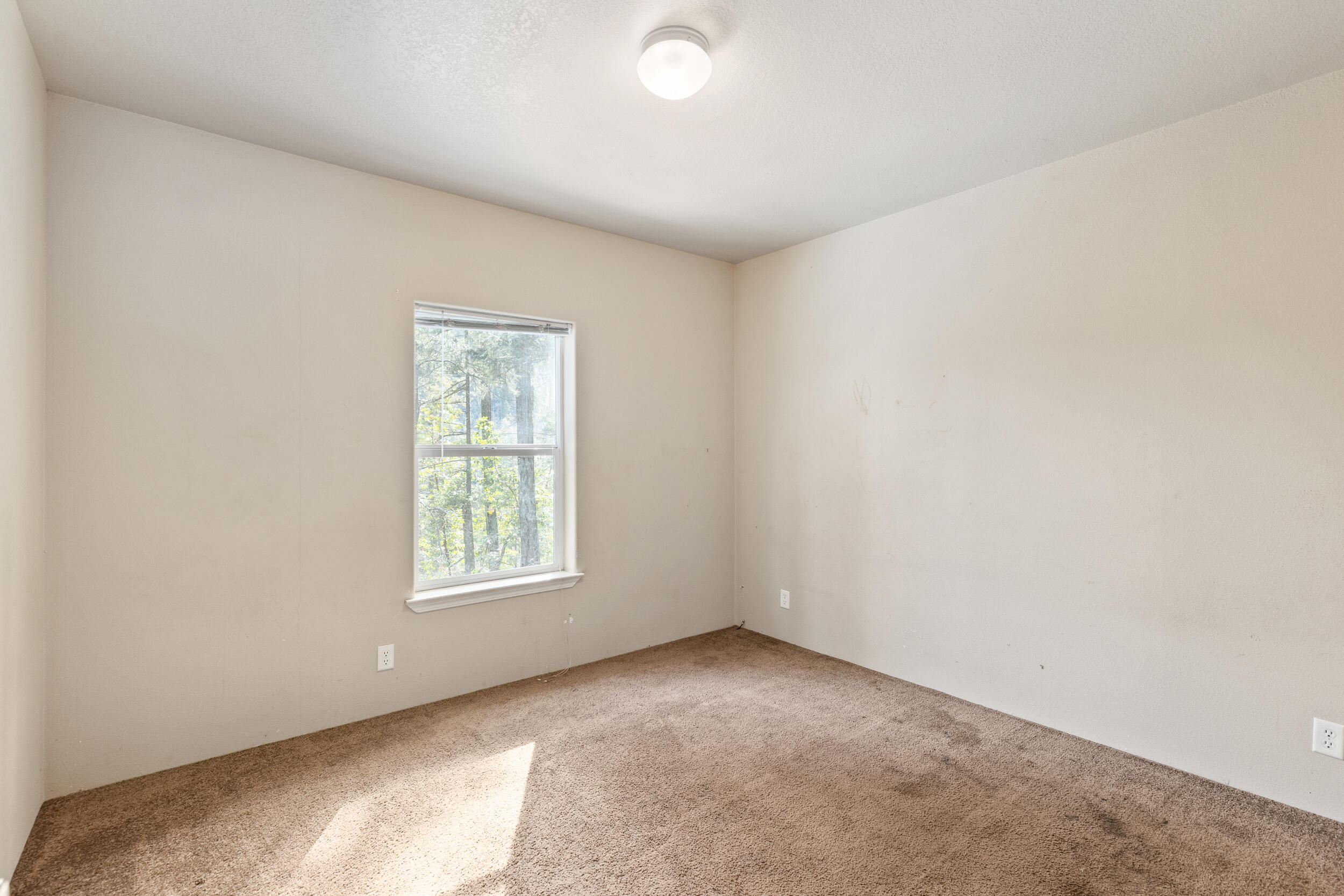 124 Elk Creek Road Trail, OR 97541 - Photo 18 of 36 0r1a0636 copy