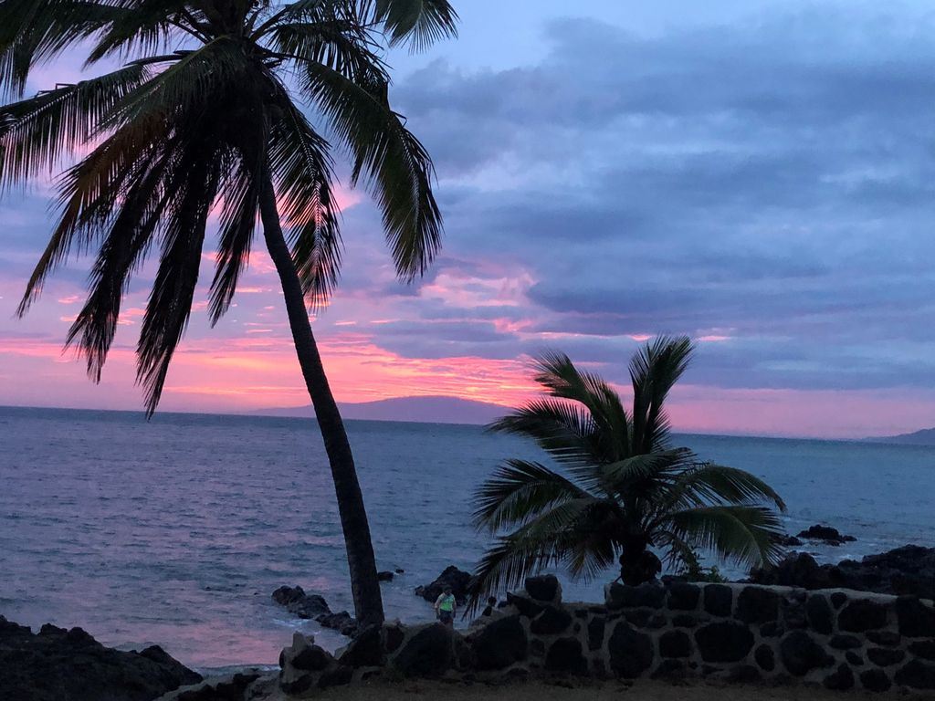 2191 South Kihei Road, Unit 3419 Kihei, HI 96753 - Photo 29 of 30 a close up of a palm trees in a yard