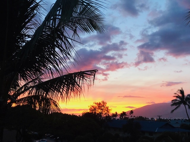 2191 South Kihei Road, Unit 3419 Kihei, HI 96753 - Photo 8 of 30