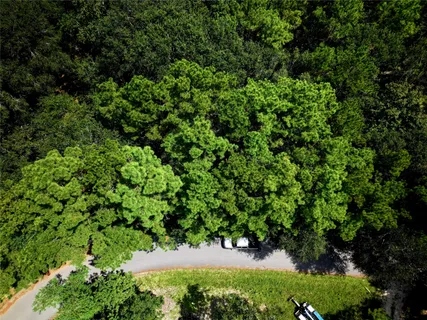 a view of a yard with plants