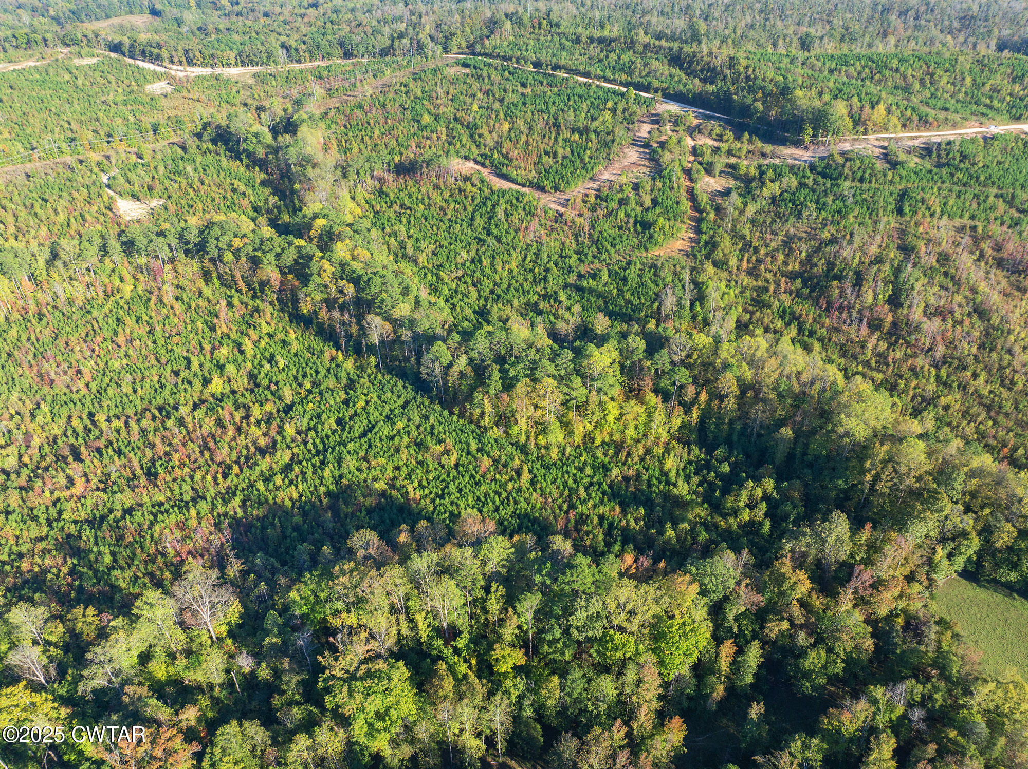 6-tract Tucker Road Bath Springs, TN 38311 - Photo 6 of 9 a view of a garden