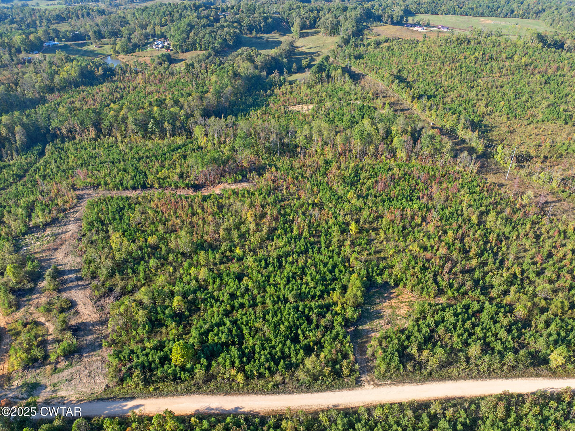 6-tract Tucker Road Bath Springs, TN 38311 - Photo 7 of 9 a view of a yard