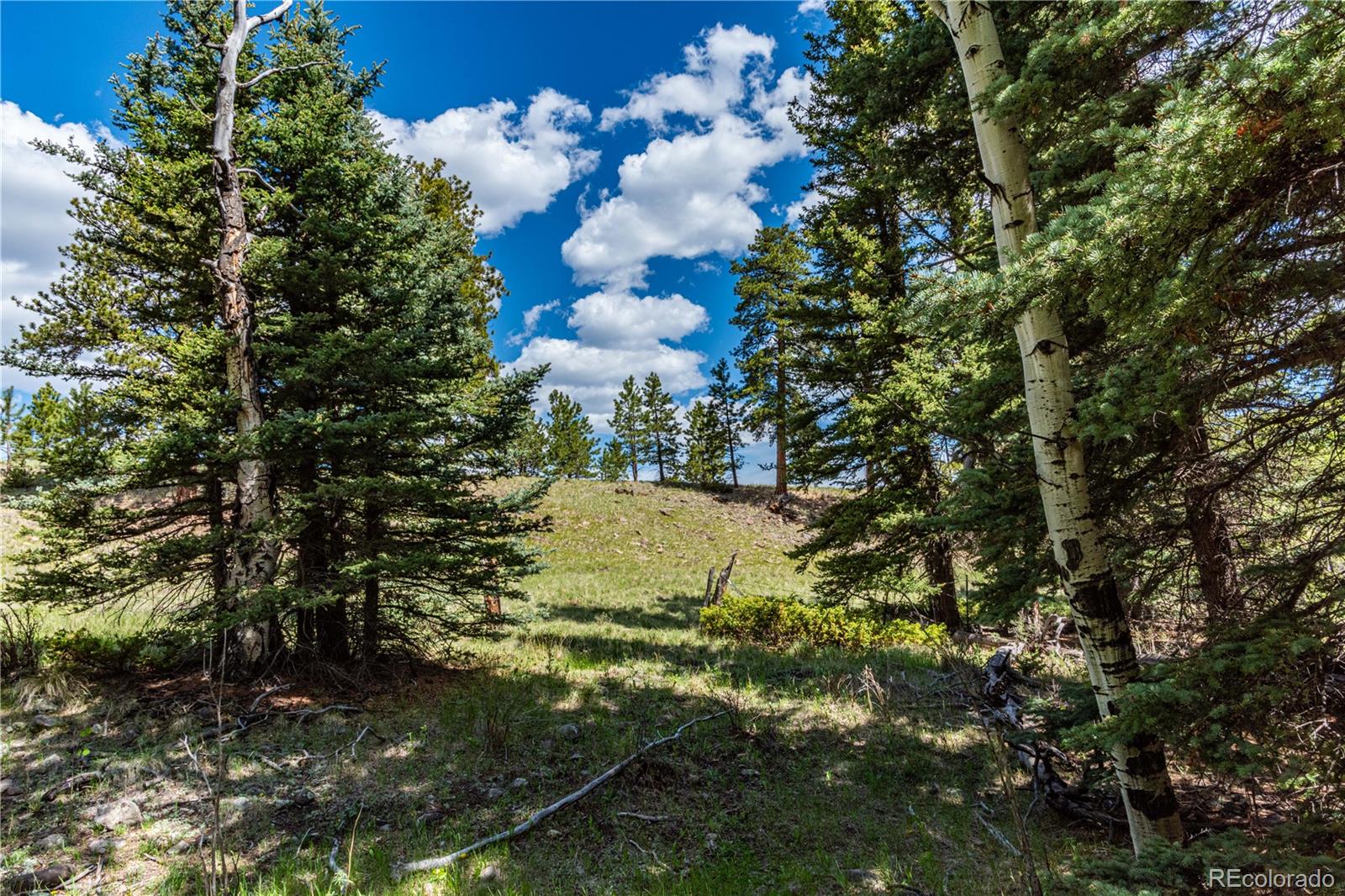 298 Steven Road Canon City, CO 81212 - Photo 23 of 35