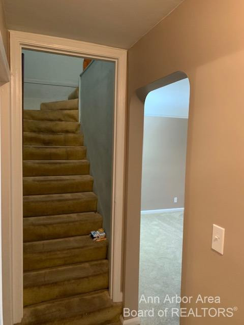 809 North Prospect Road Ypsilanti, MI 48198 - Photo 11 of 25 Photo 11