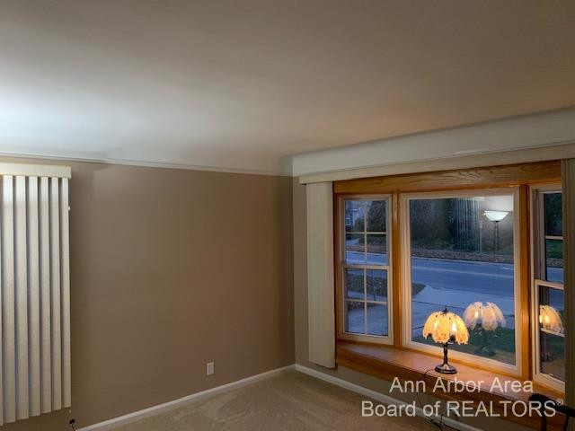 809 North Prospect Road Ypsilanti, MI 48198 - Photo 10 of 25 Photo 10