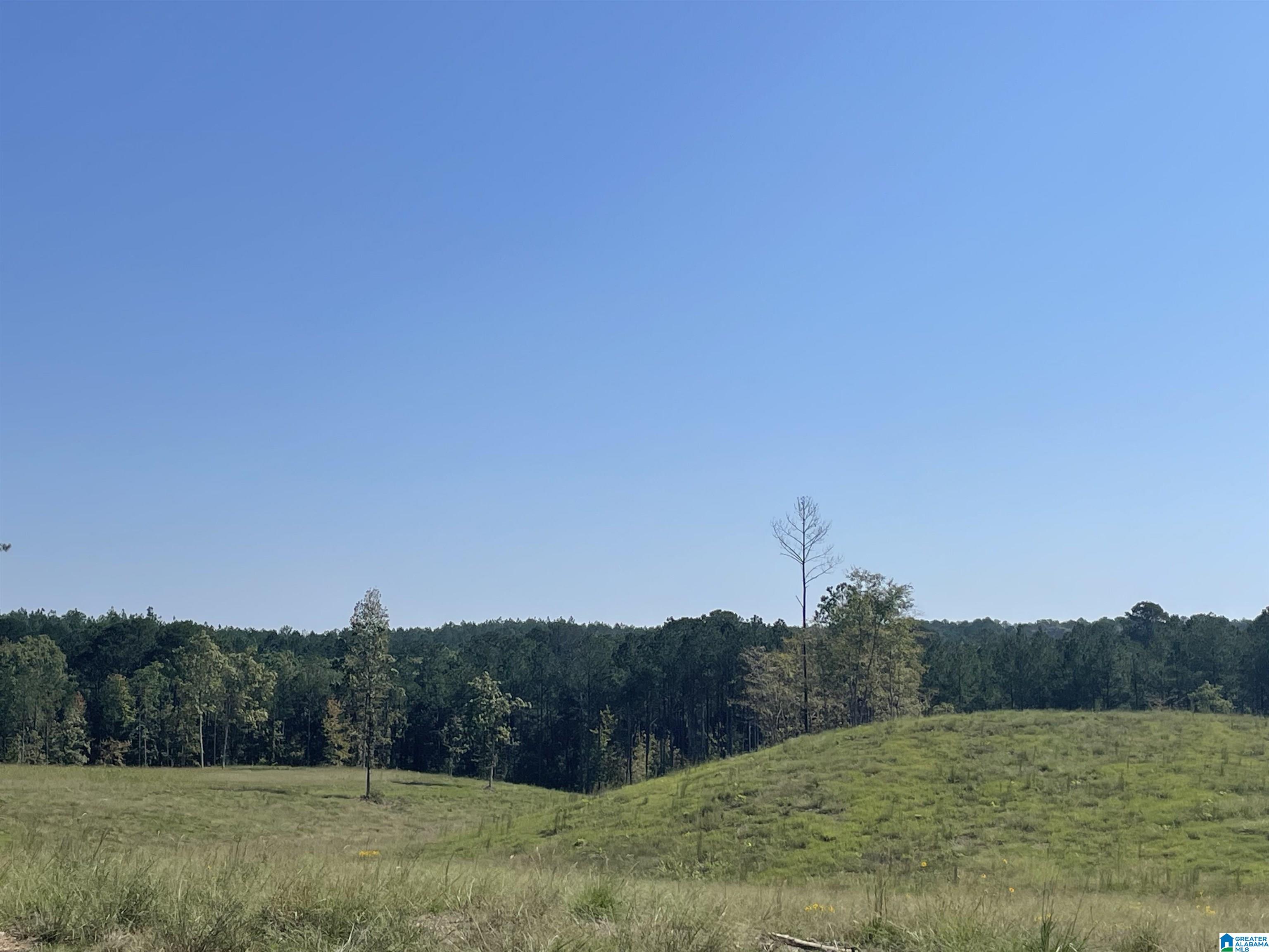 3679 Chelsea Road, Unit 2 Columbiana, AL 35051 - Photo 12 of 13