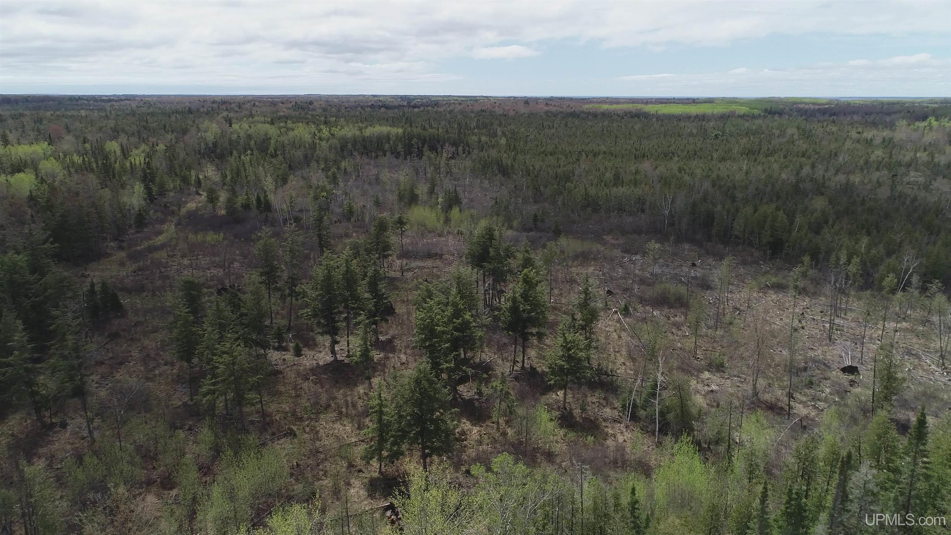 K10 Old K10.17 Road Rapid River, MI 49878 - Photo 2 of 16