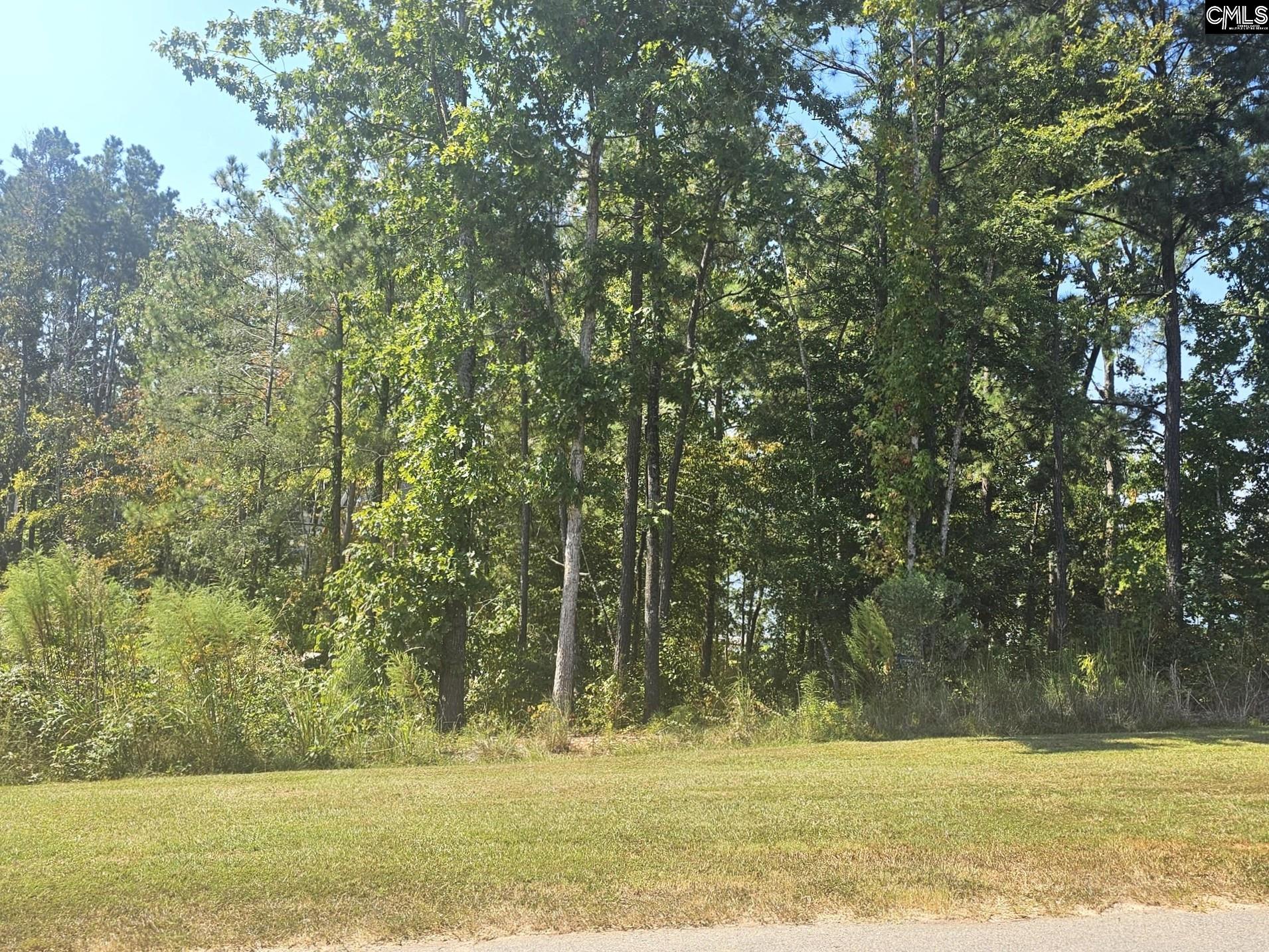 Lot # Longview Drive Prosperity, SC 29127 - Photo 7 of 11
