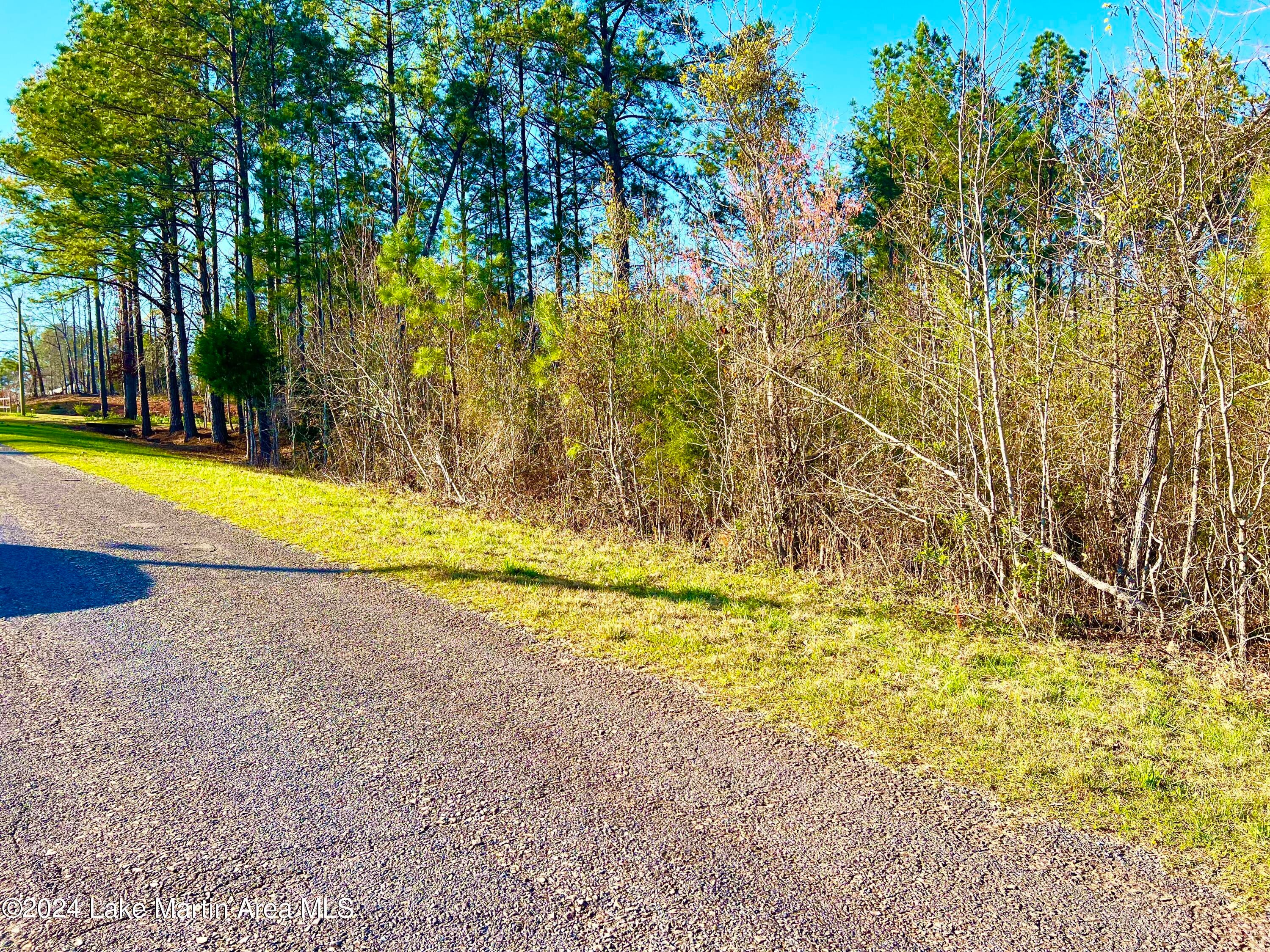 3 Oak Ridge Road Dadeville, AL 36853 - Photo 1 of 1 Gallery Image 1