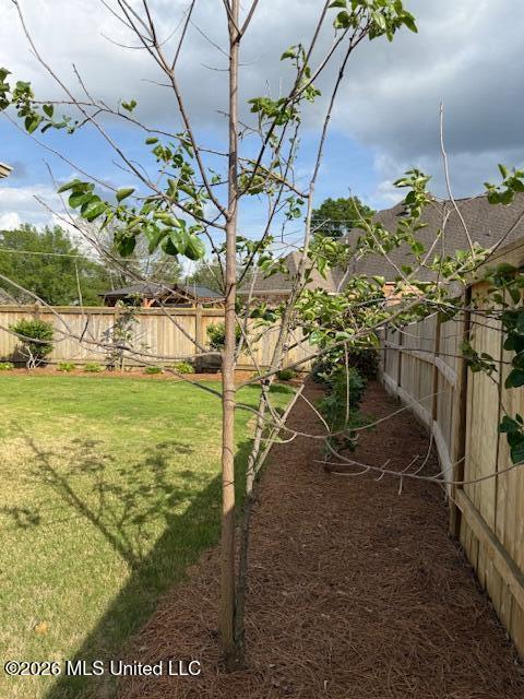 67 Grandview Circle Brandon, MS 39047 - Photo 82 of 85 IMG_1964