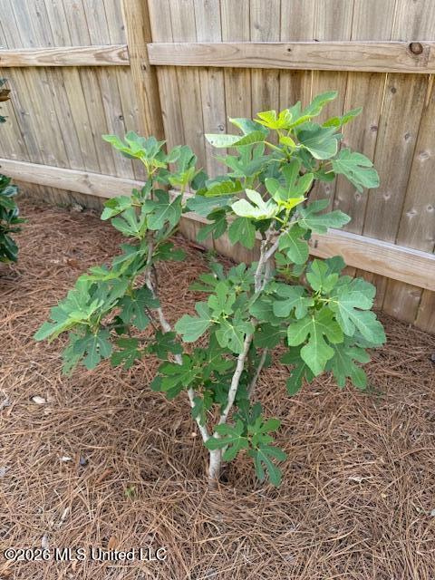 67 Grandview Circle Brandon, MS 39047 - Photo 83 of 85 IMG_1965