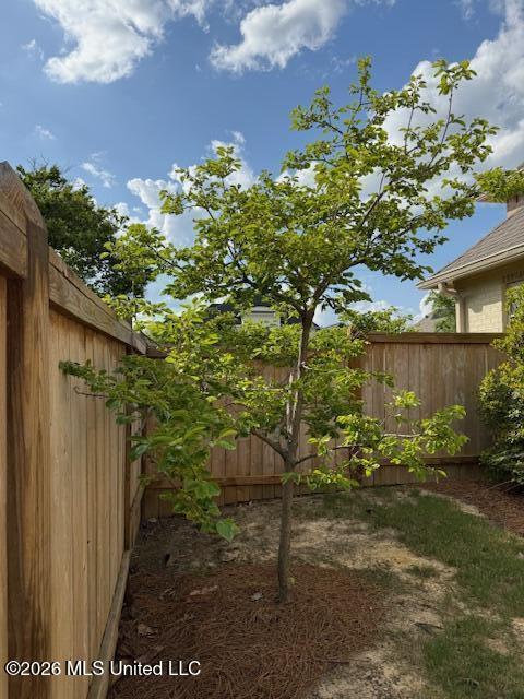 67 Grandview Circle Brandon, MS 39047 - Photo 84 of 85 IMG_1963