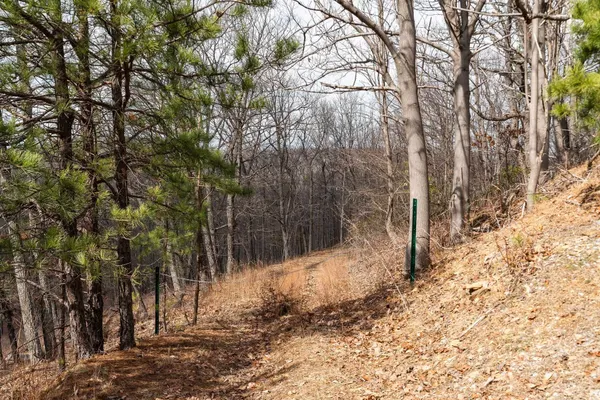 $110,000 | Tbd Ben Lyons Lane, Lyndhurst, VA 22952