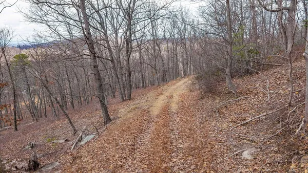 $110,000 | Tbd Ben Lyons Lane, Lyndhurst, VA 22952