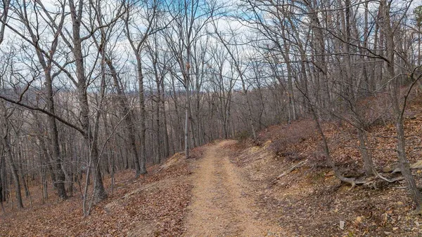 $110,000 | Tbd Ben Lyons Lane, Lyndhurst, VA 22952