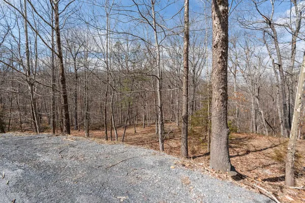 $110,000 | Tbd Ben Lyons Lane, Lyndhurst, VA 22952