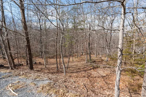 $110,000 | Tbd Ben Lyons Lane, Lyndhurst, VA 22952