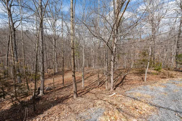 $110,000 | Tbd Ben Lyons Lane, Lyndhurst, VA 22952