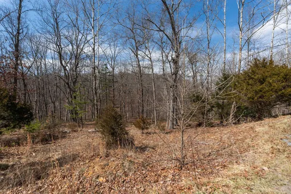$110,000 | Tbd Ben Lyons Lane, Lyndhurst, VA 22952