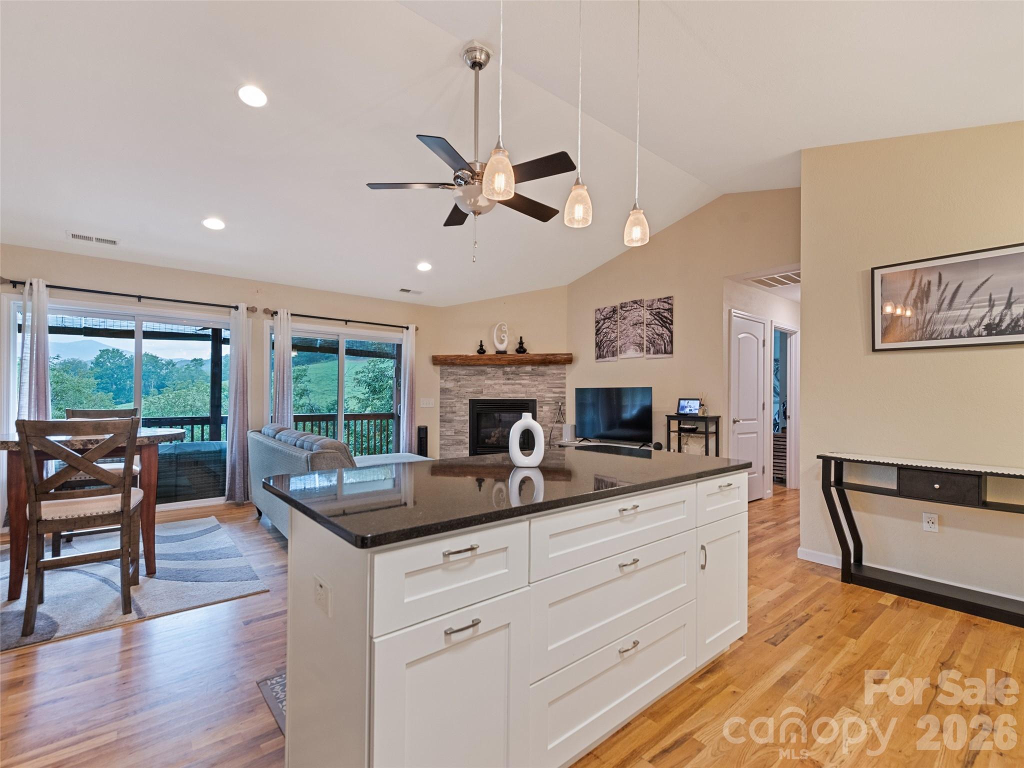 404 Loop Road Clyde, NC 28721 - Photo 7 of 48 Gallery Image 7