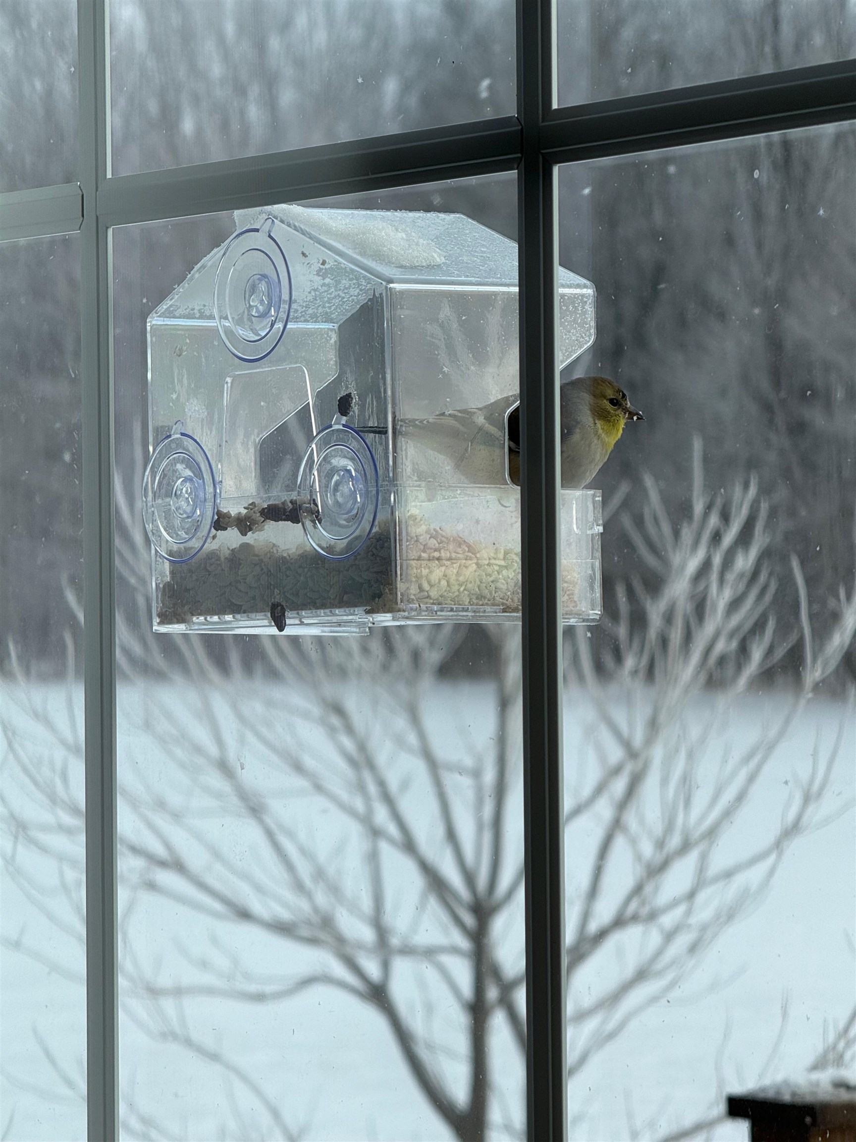 86 Reynolds Road Grand Isle, VT 05458 - Photo 26 of 28