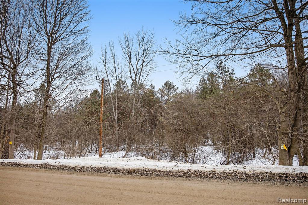3710 Slattery Road Attica, MI 48412 - Photo 6 of 15