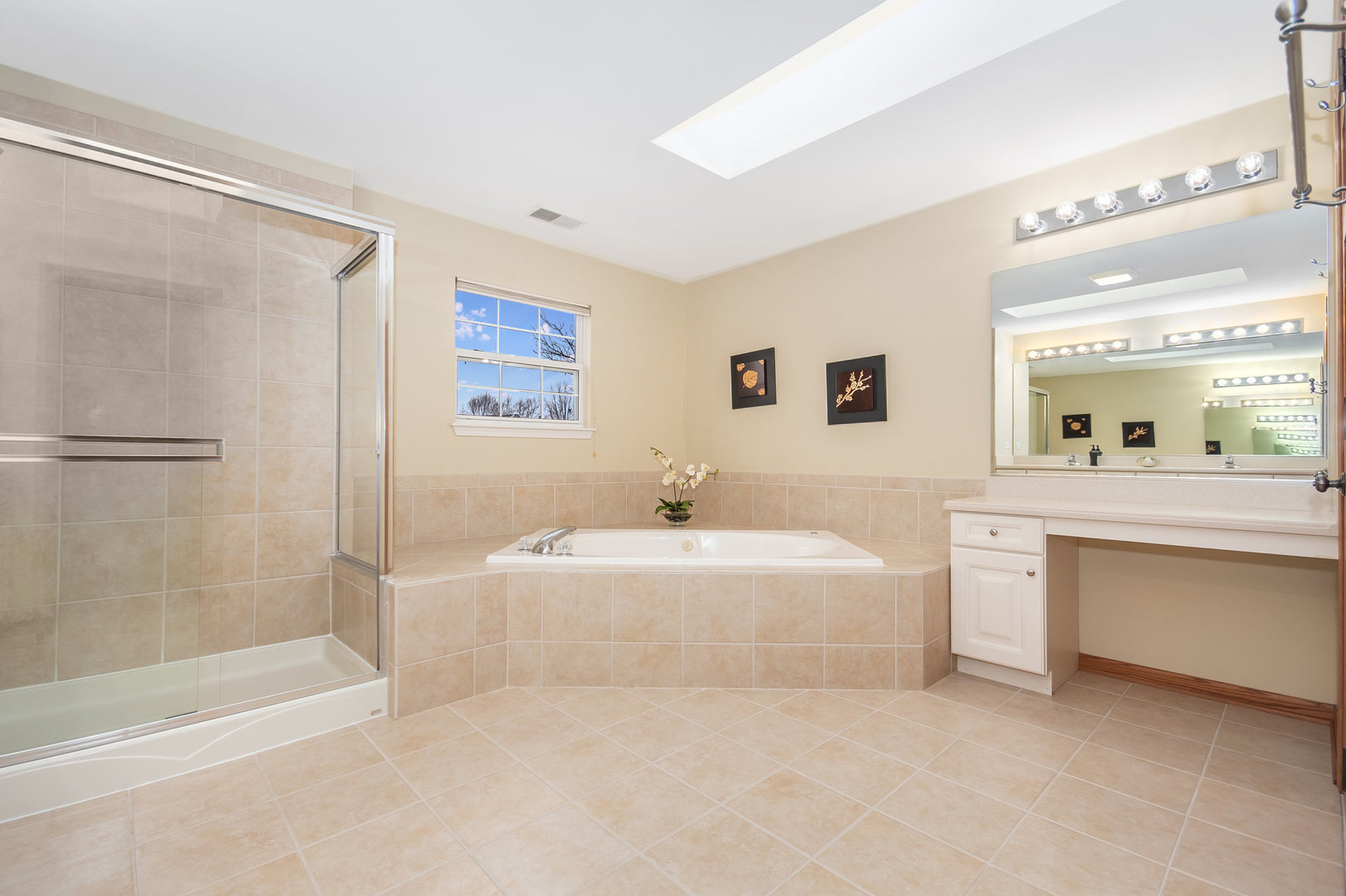 712 Eagle Brook Lane Naperville, IL 60565 - Photo 22 of 40 a bathroom with a bathtub a shower a sink and a large mirror